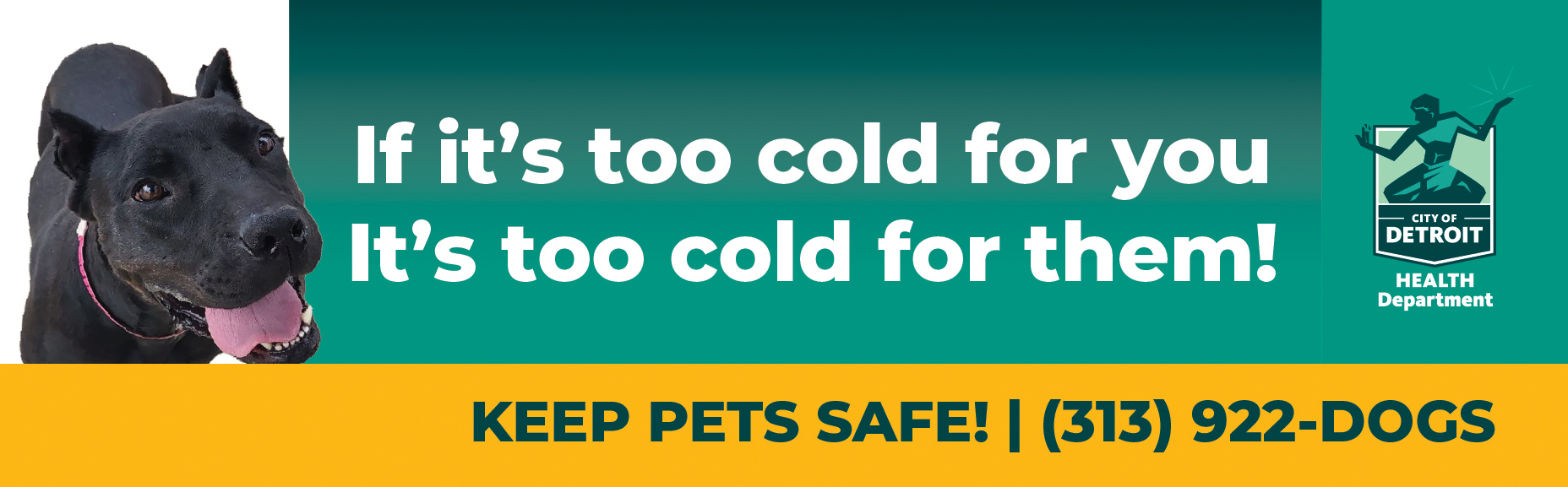 What Happens When Animal Control Comes To See Your Dog